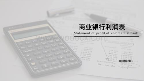 财务报表分析商业银行利润表.docx