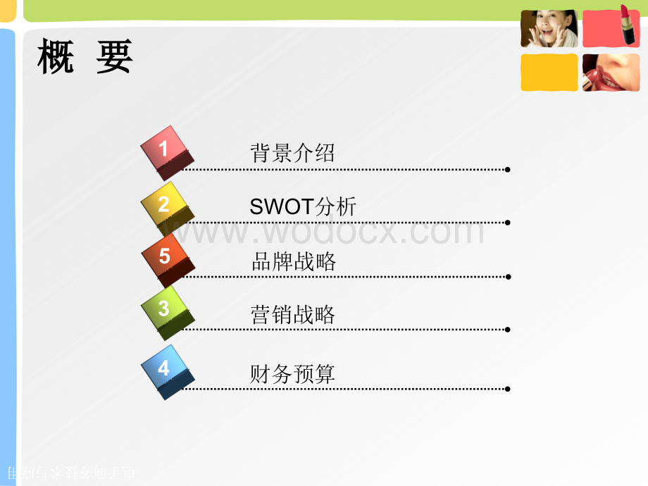 化妆品品牌推广方案及网络营销方案.ppt_第2页