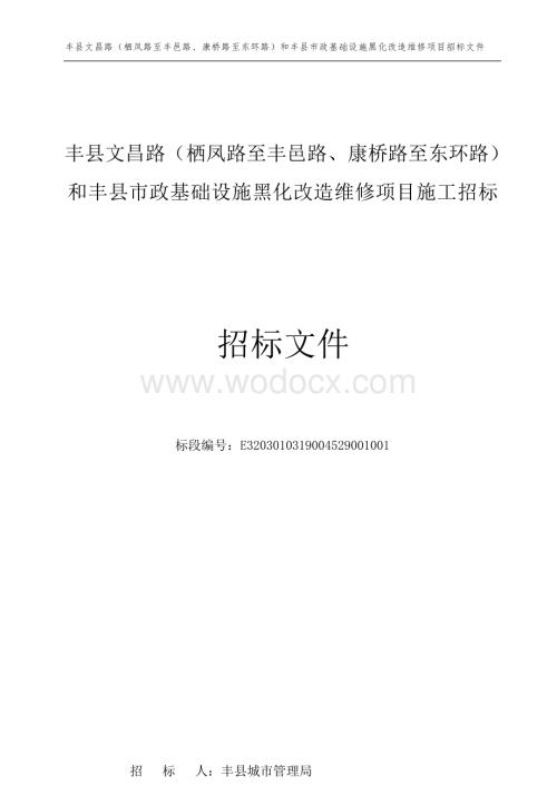 市政基础设施黑化改造维修项目招标文件.docx