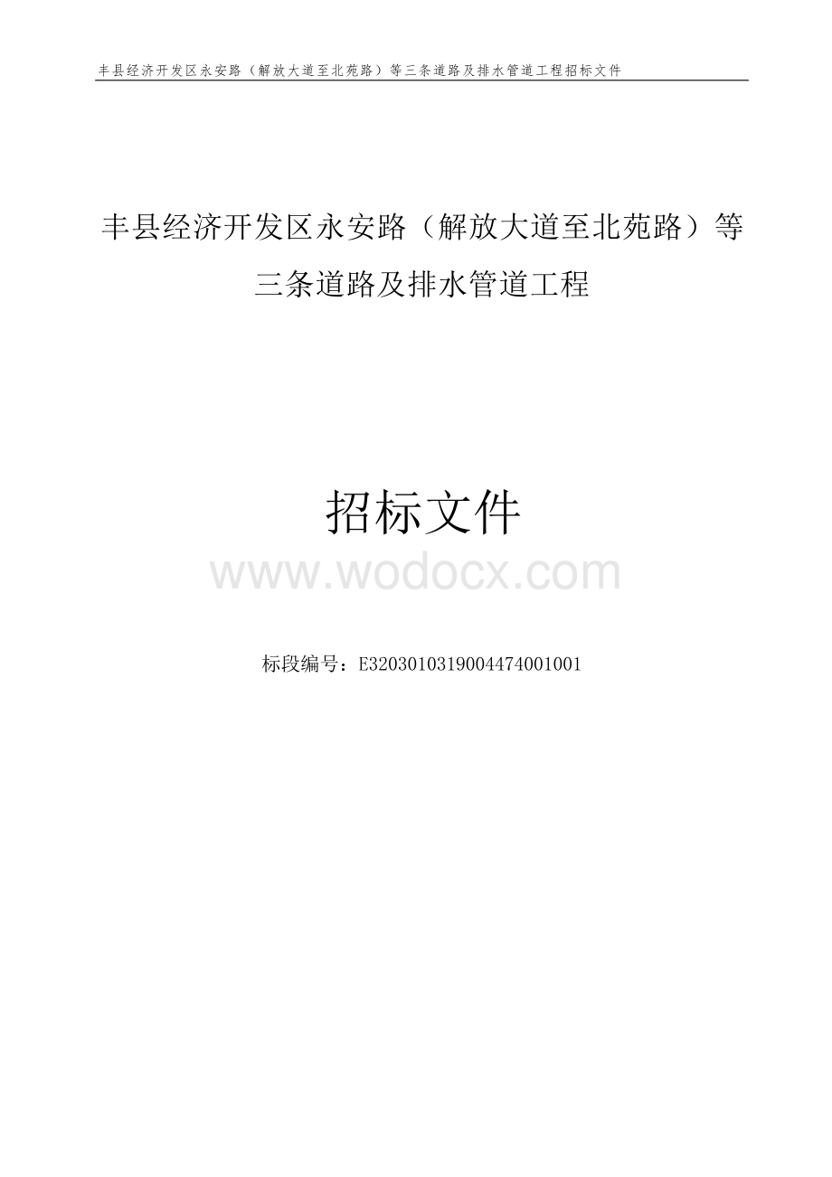 三条道路及排水管道工程招标文件.docx_第1页