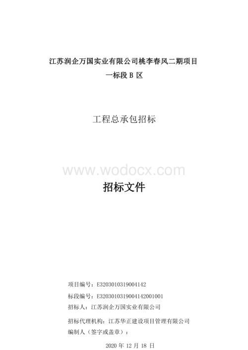 桃李春风二期一标段B区工程招标文件.docx