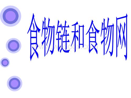 教案食物链和食物网.ppt