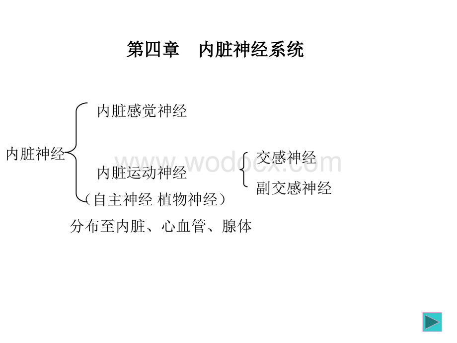 第四章 内脏神经系统.ppt_第1页