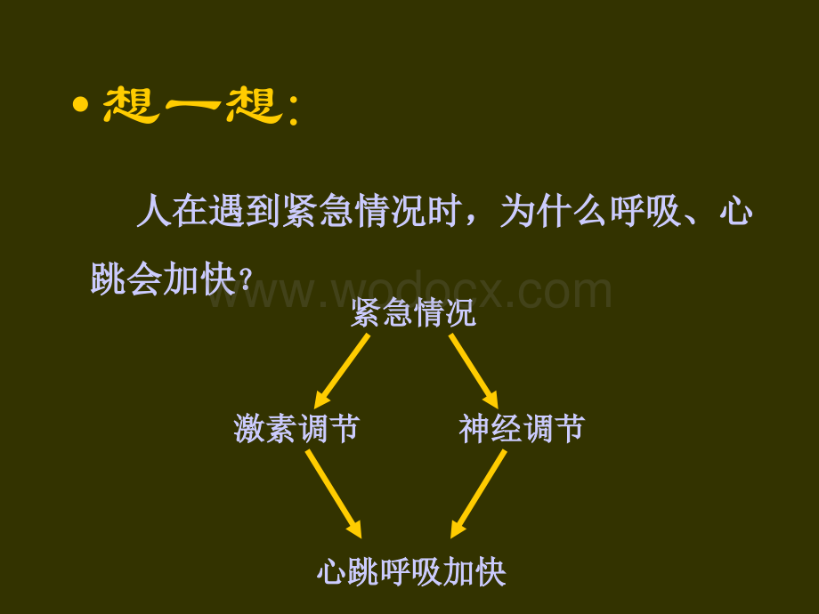 神经调节2教学课件.ppt_第3页