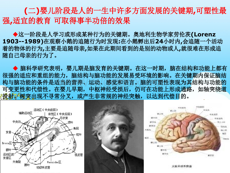 婴儿教育概述.ppt_第3页