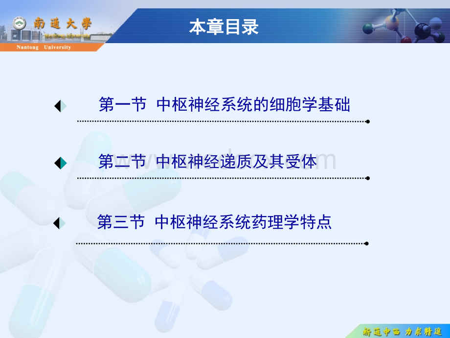 第12章 中枢神经系统药理学概论.ppt_第3页