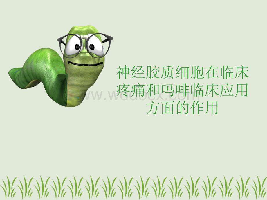 神经胶质细胞.ppt_第1页