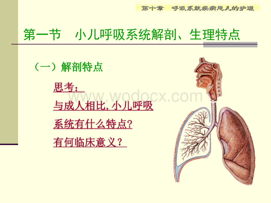 第10章 呼吸系统疾病患儿的护理.ppt_第3页