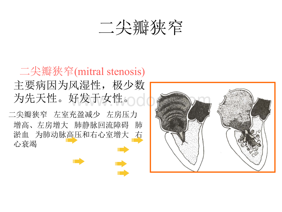 诊断学 循环系统常见疾病.ppt_第2页