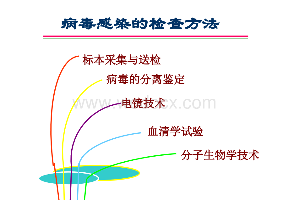 病毒感染的检查方法.ppt_第1页