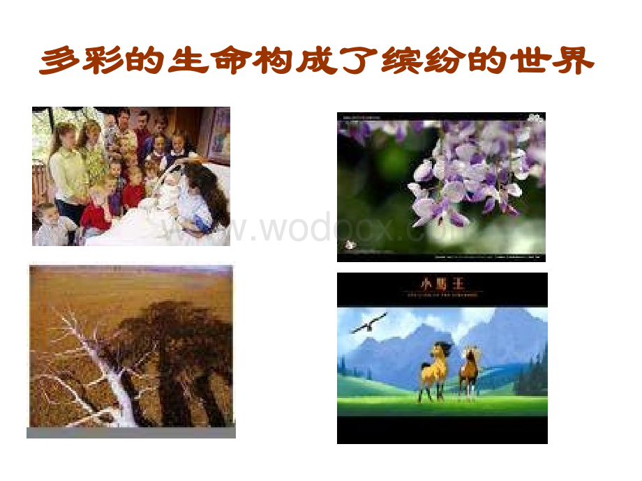 主题班会：珍惜生命健康成长 .ppt_第2页