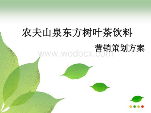 东方树叶营销策划方案.ppt