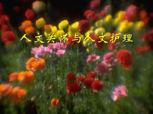 人文关怀与人文护理.ppt