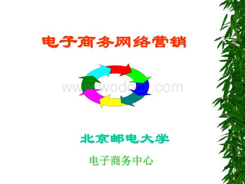 电子商务B2CB2B网络营销全攻略营销手法大全.ppt