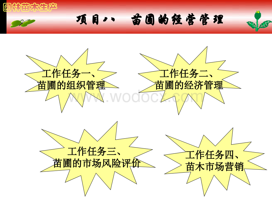 苗圃的经营管理.ppt_第1页