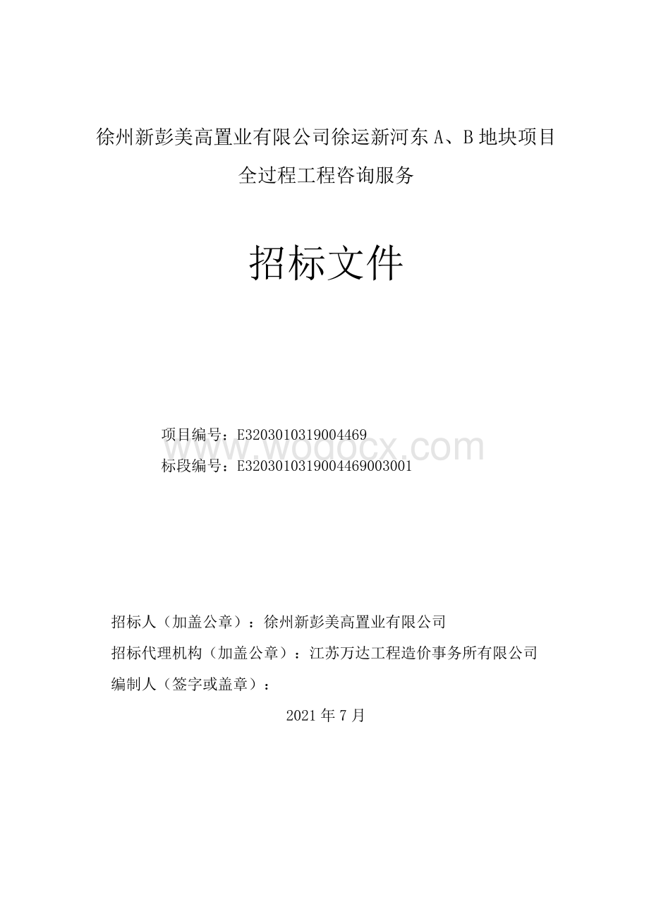 新河东A、B地块全过程咨询服务招标文件.pdf_第1页