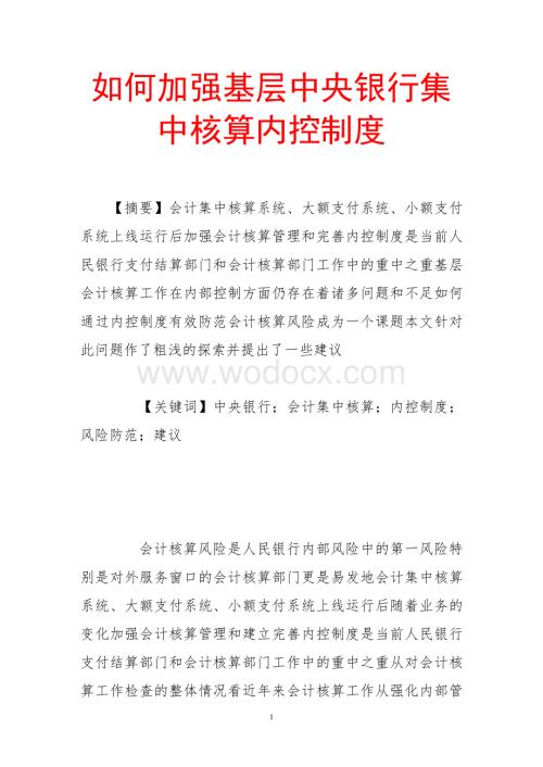 如何加强基层中央银行集中核算内控制度.doc