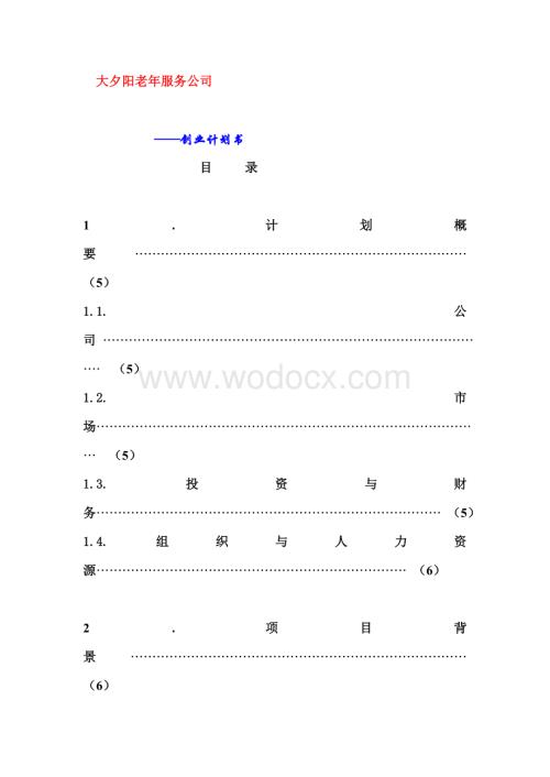 某某老年人服务公司创业计划书.doc