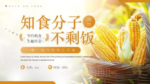 节约粮食主题班会PPT模板.pptx