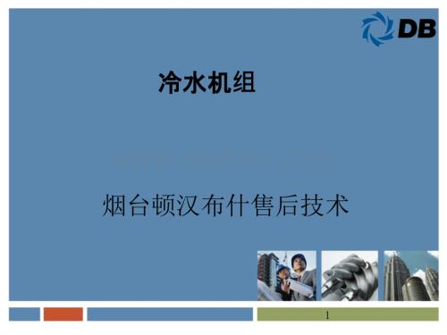 顿汉布什螺杆式冷水机组.ppt