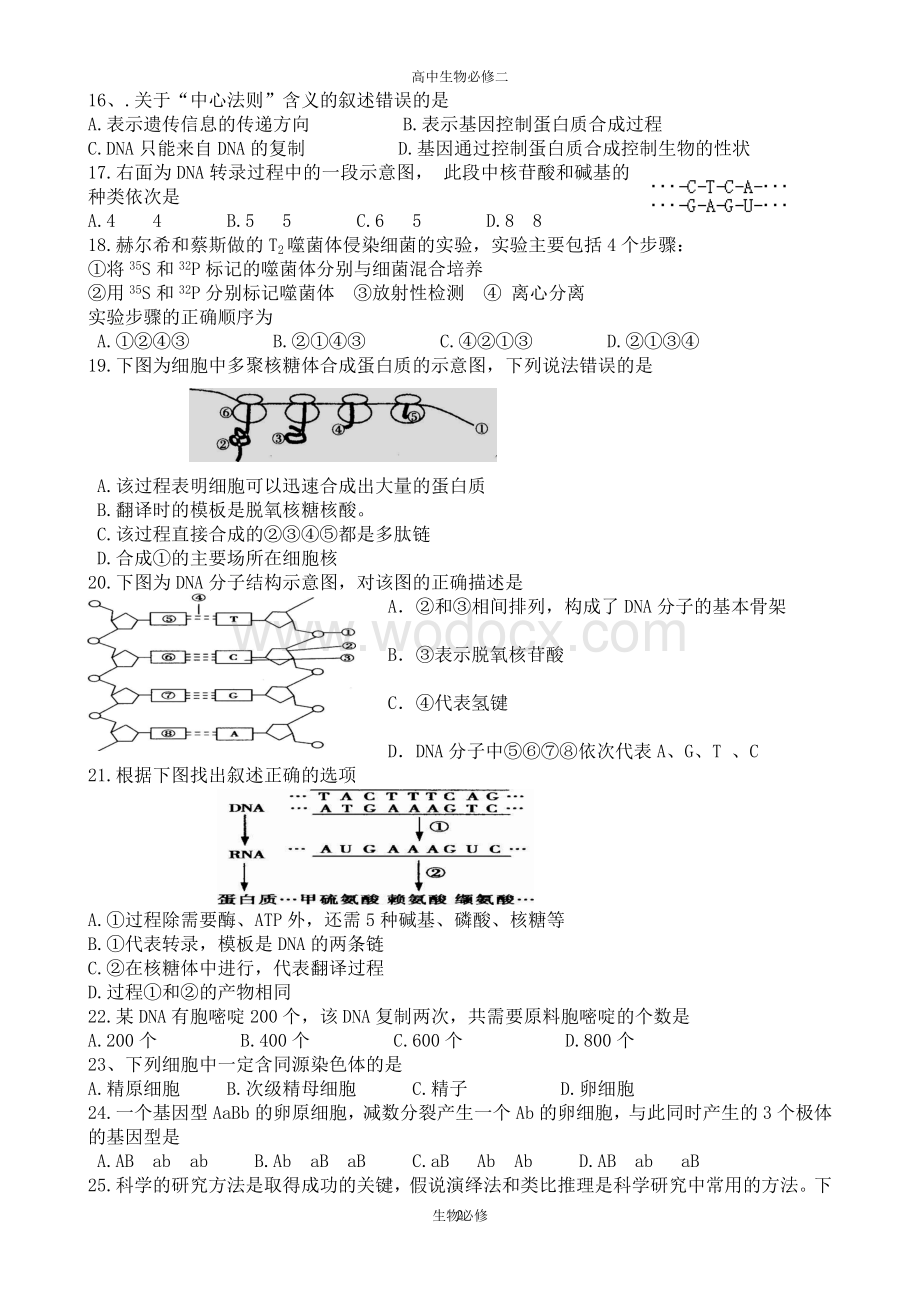 人教版试题试卷高中生物必修2第1至4章检测.doc_第2页