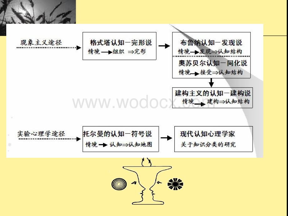 第六章-认知主义学习理论.ppt_第3页