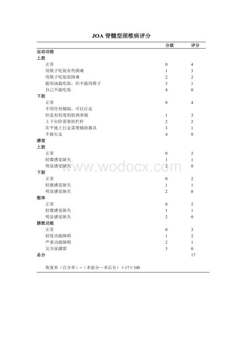 骨科功能评分标准.doc