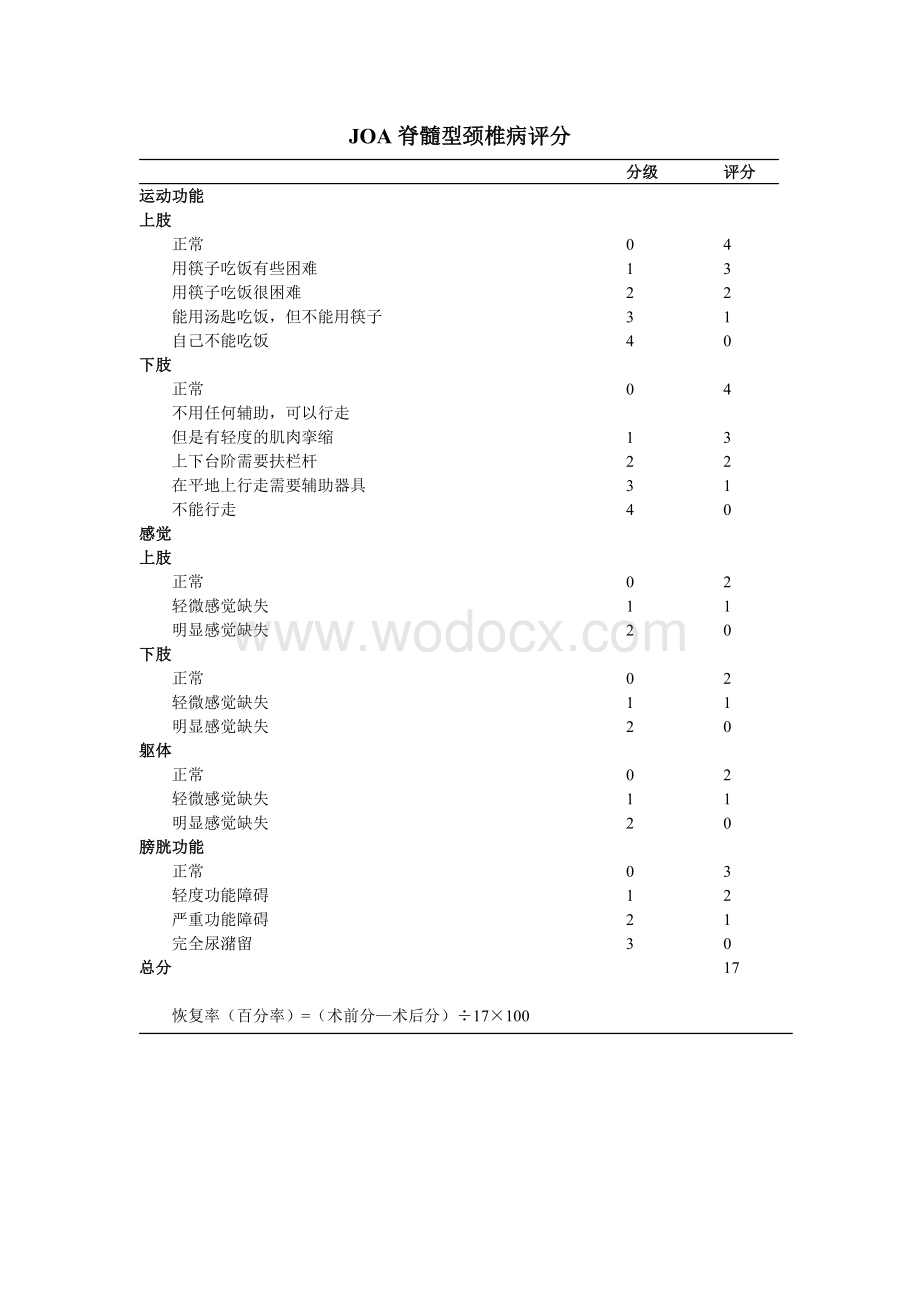 骨科功能评分标准.doc_第1页