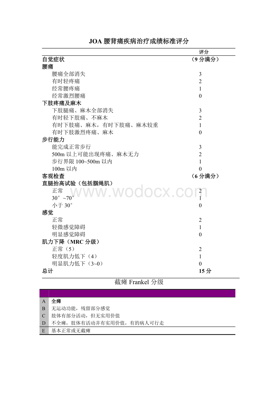 骨科功能评分标准.doc_第2页