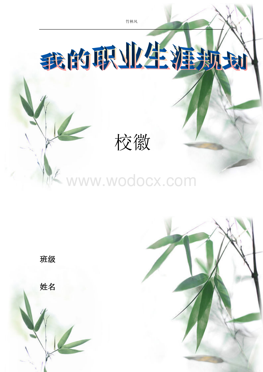 小学教育职业生涯规划.doc_第1页