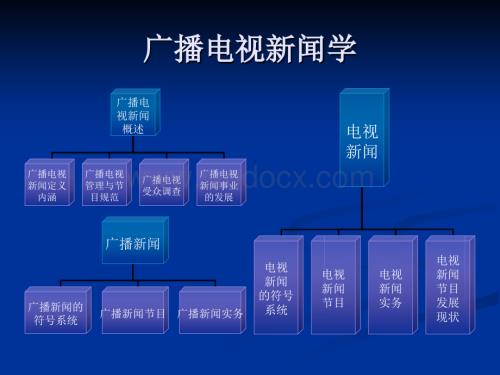 广播电视新闻学.ppt