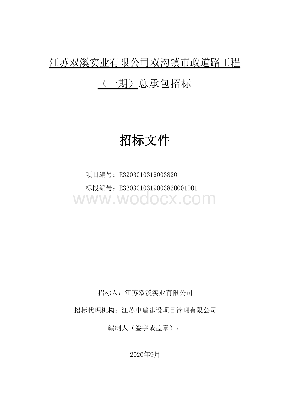 镇市政道路工程（一期）总承包招标文件.pdf_第2页