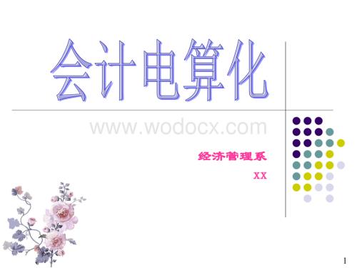 《会计电算化》说课.ppt