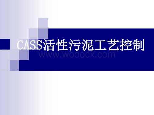 污水处理CASS活性污泥工艺制培训材料.ppt