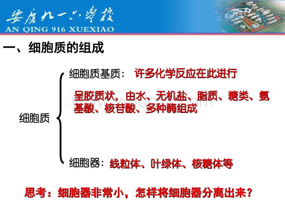 动物细胞亚显微结构模式图.ppt_第3页