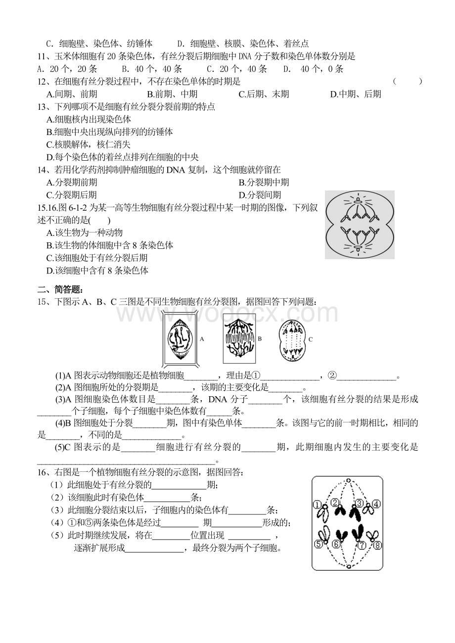 细胞的有丝分裂习题(一).doc_第2页