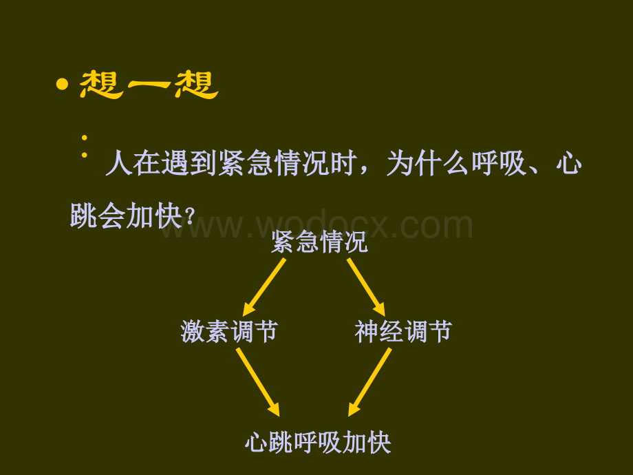 神经调节2教学课件.ppt_第3页