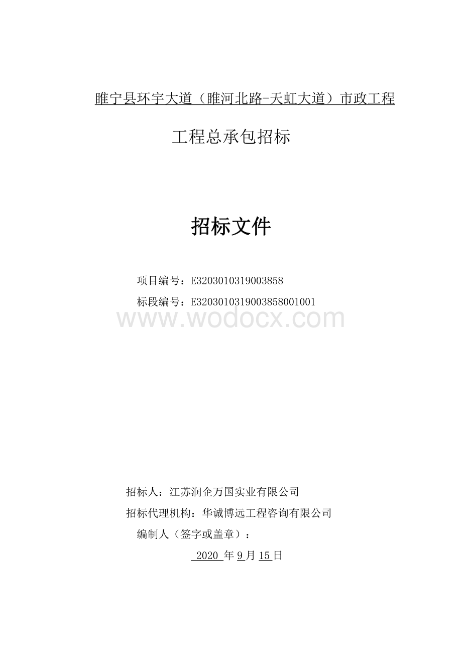 环宇大道市政工程招标文件.pdf_第2页