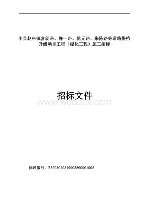 镇道路提档升级项目工程施工招标文件.docx