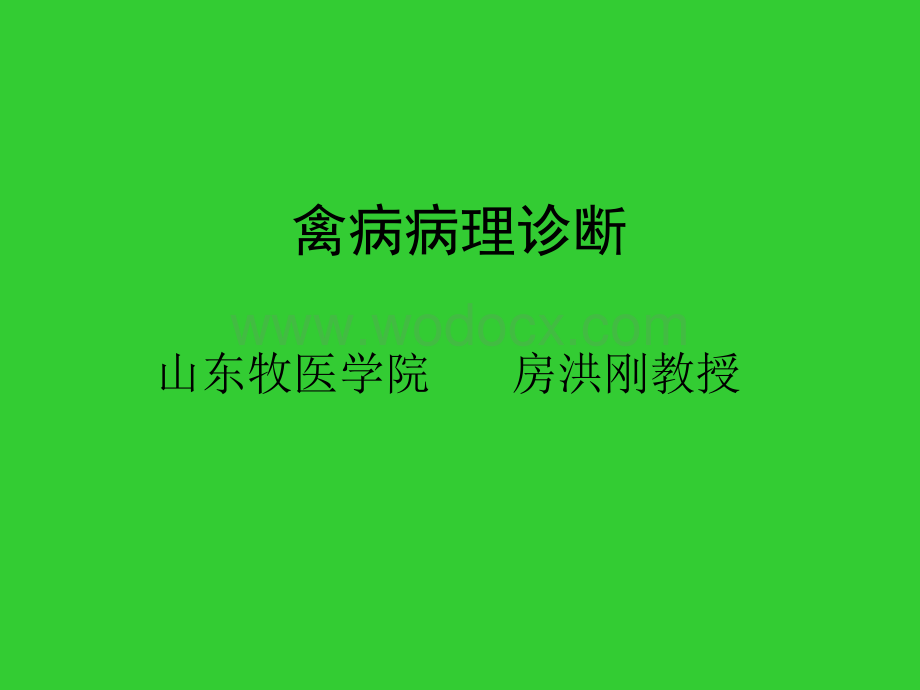 禽病病理诊断ppt.ppt_第1页