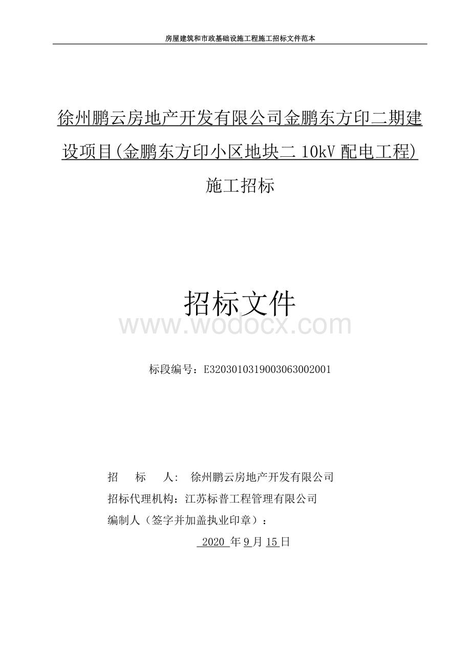 小区地块二10kV配电工程招标文件.pdf_第1页