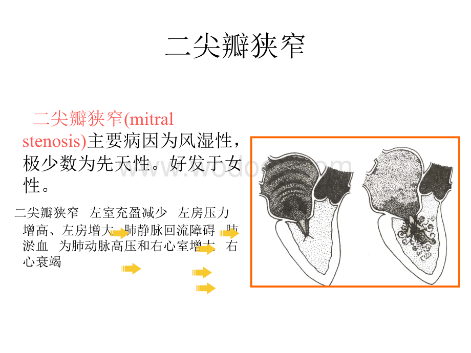 诊断学 循环系统常见疾病.ppt_第2页