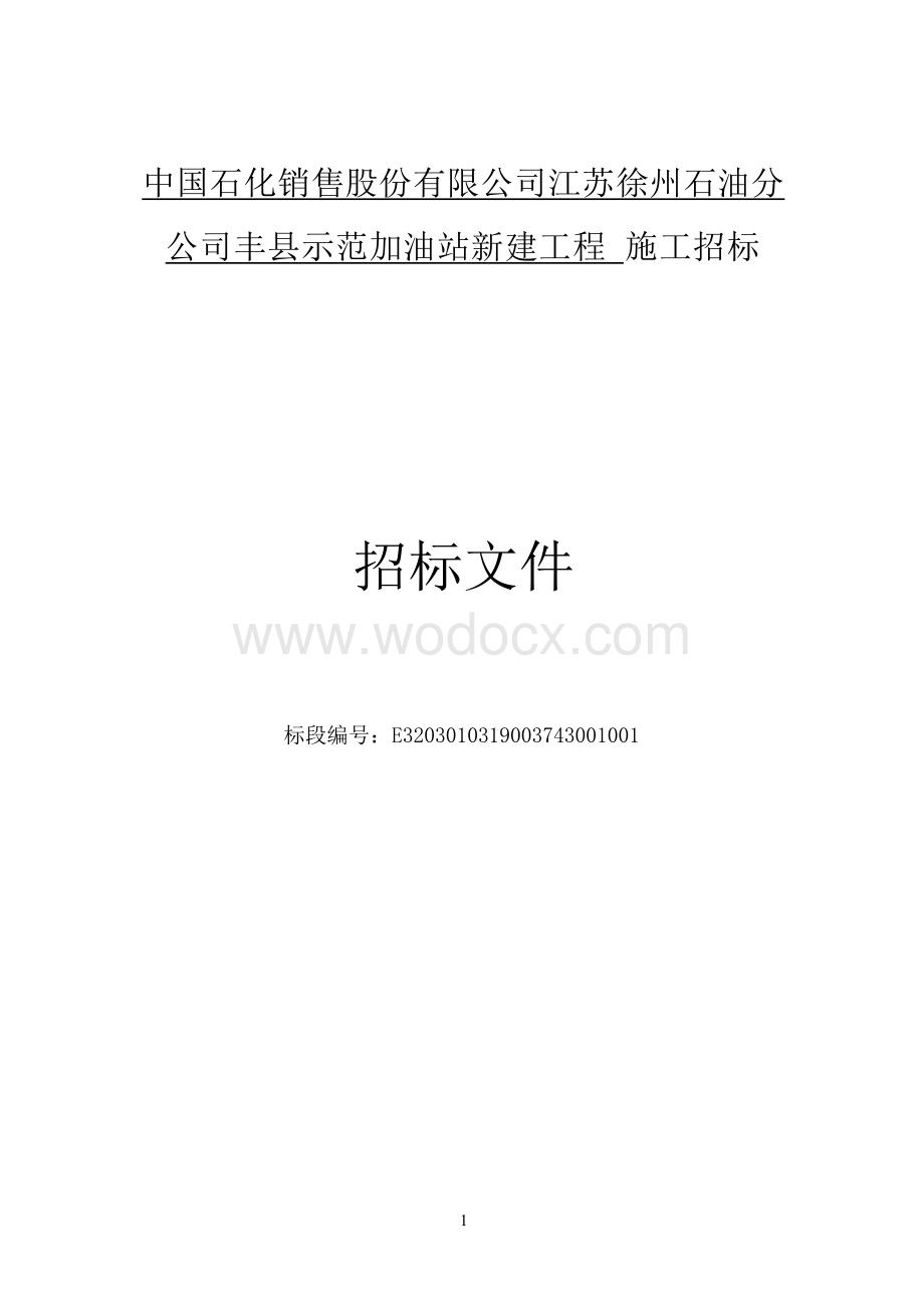 示范加油站新建工程施工招标文件.docx_第1页