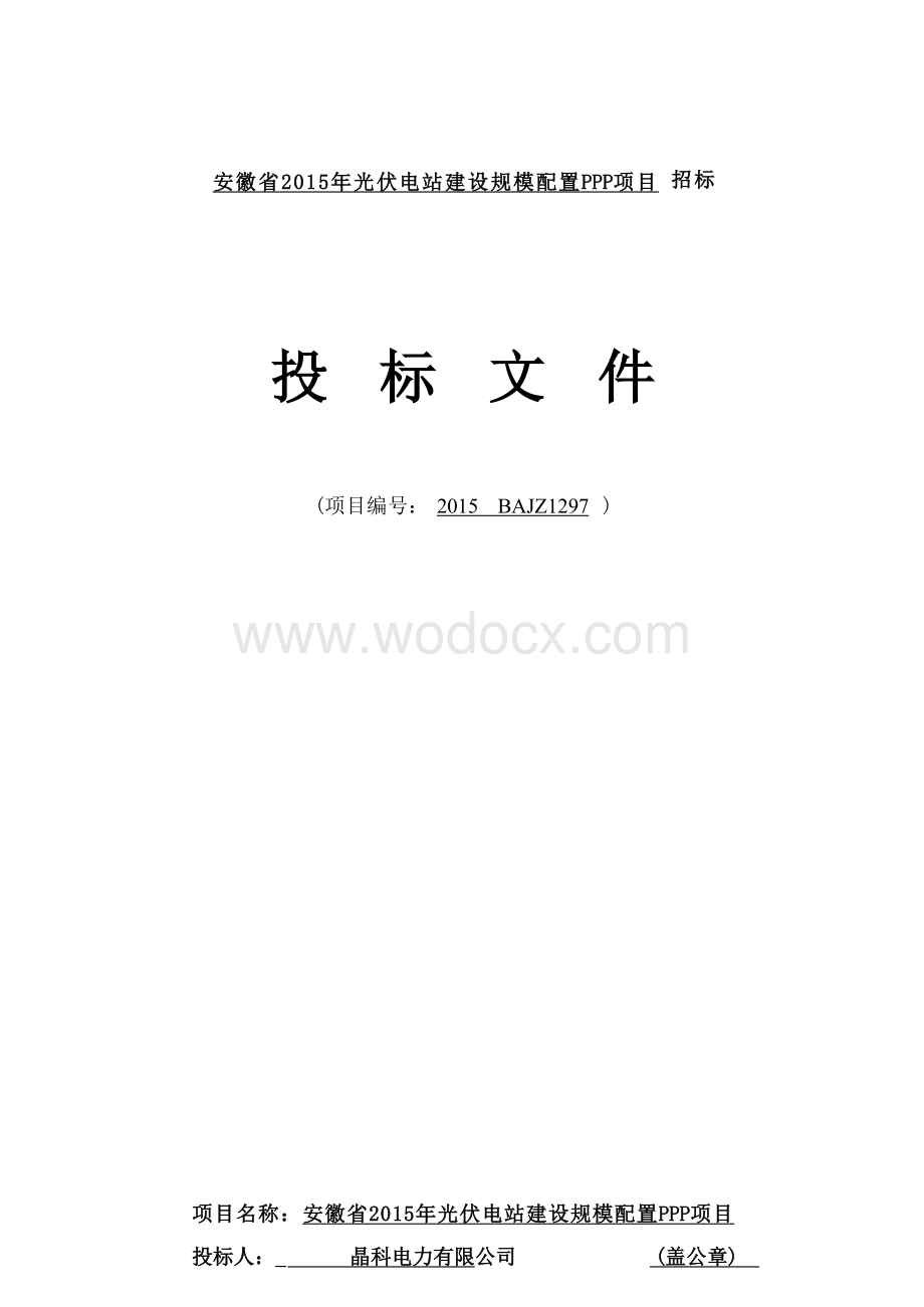 安徽省某光伏电站建设规模配置PPP项目投标.docx_第1页