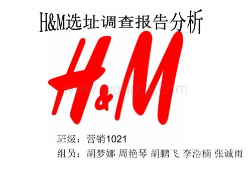 HM调查报告PPT演示.ppt