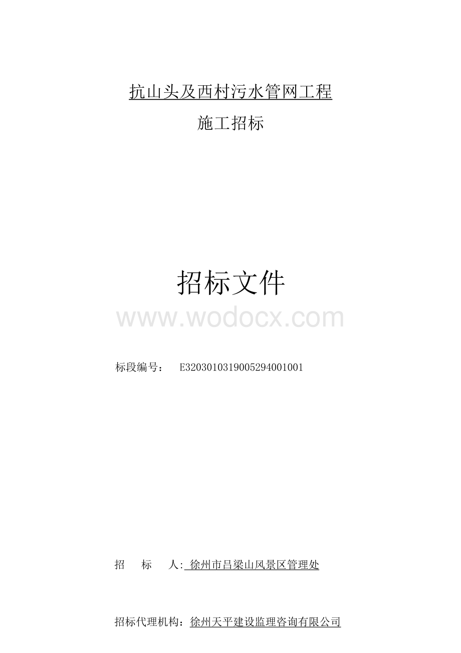 土石方及污水管网系统工程招标文件.docx_第1页