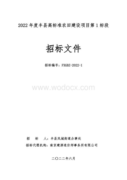 农田基础设施工程招标文件.docx