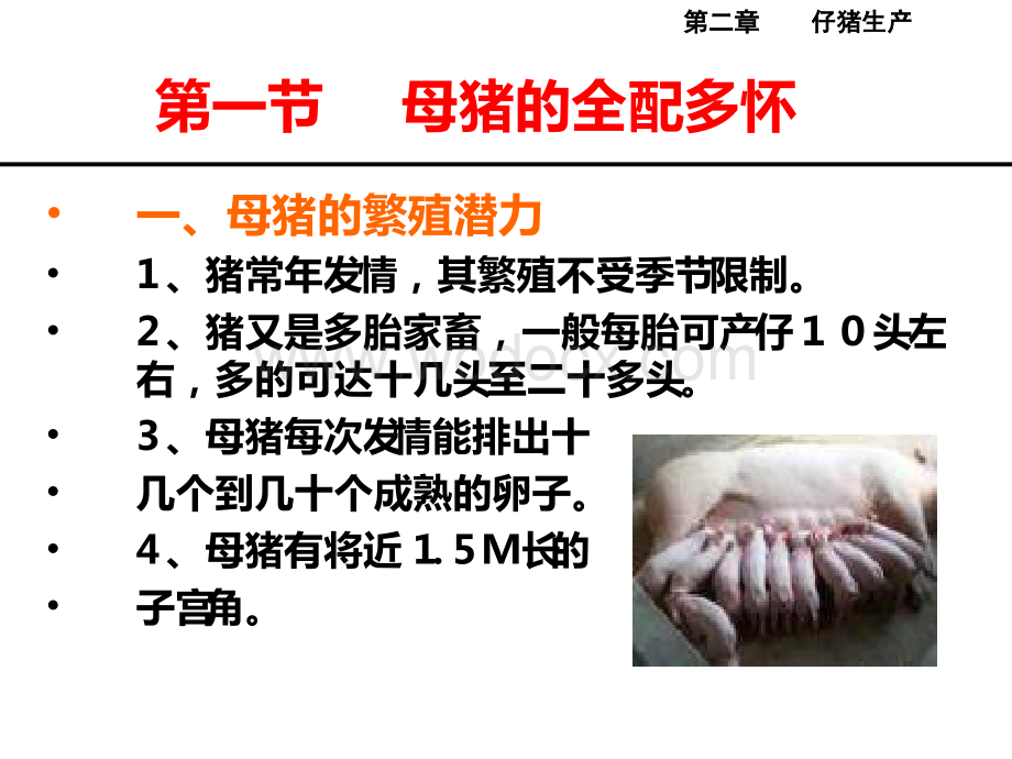 母猪人工授精图片及文字资料.ppt_第1页